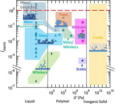 Factors That Control the Formation of Dendrites and Other Morphologies on Lithium Metal Anodes